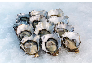 PACIFIC OYSTERS