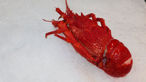COOKED CRAYFISH