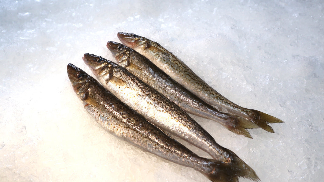 WHOLE KING GEORGE WHITING